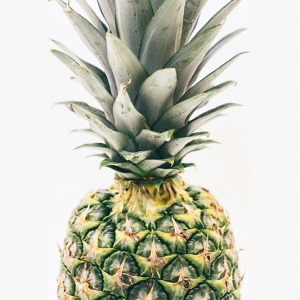 Pinawine – Fusion Recipes