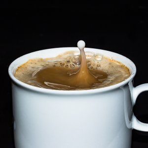 Wanmy – Fusion Recipes